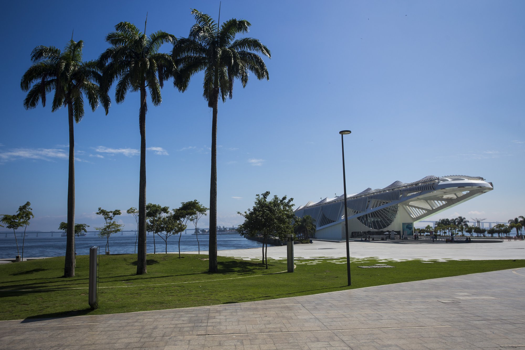Die Esplanade des Museums mit Palmen und Blick auf die Bucht.